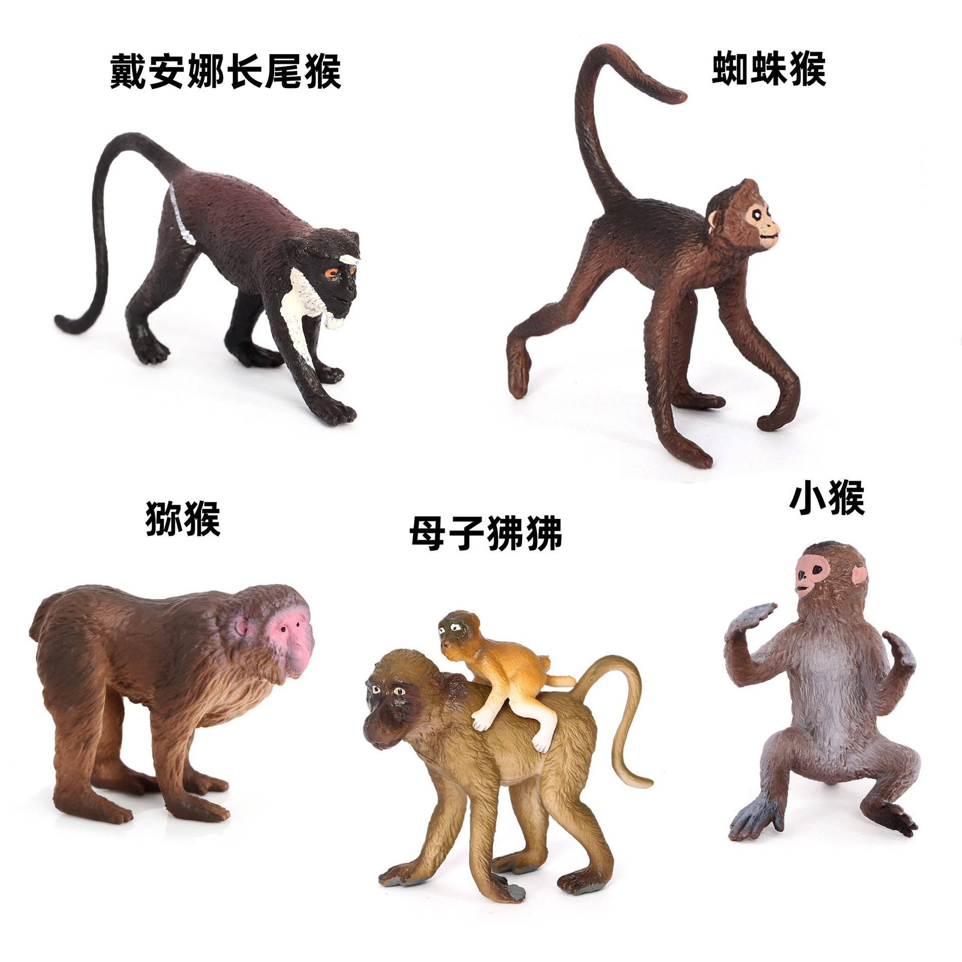 Cross-Border Wild Mammal Artificial Spider Monkey Long-Tailed Monkey Orangutan Mandrill Tree Squirrel Model Solid Ornament Toy