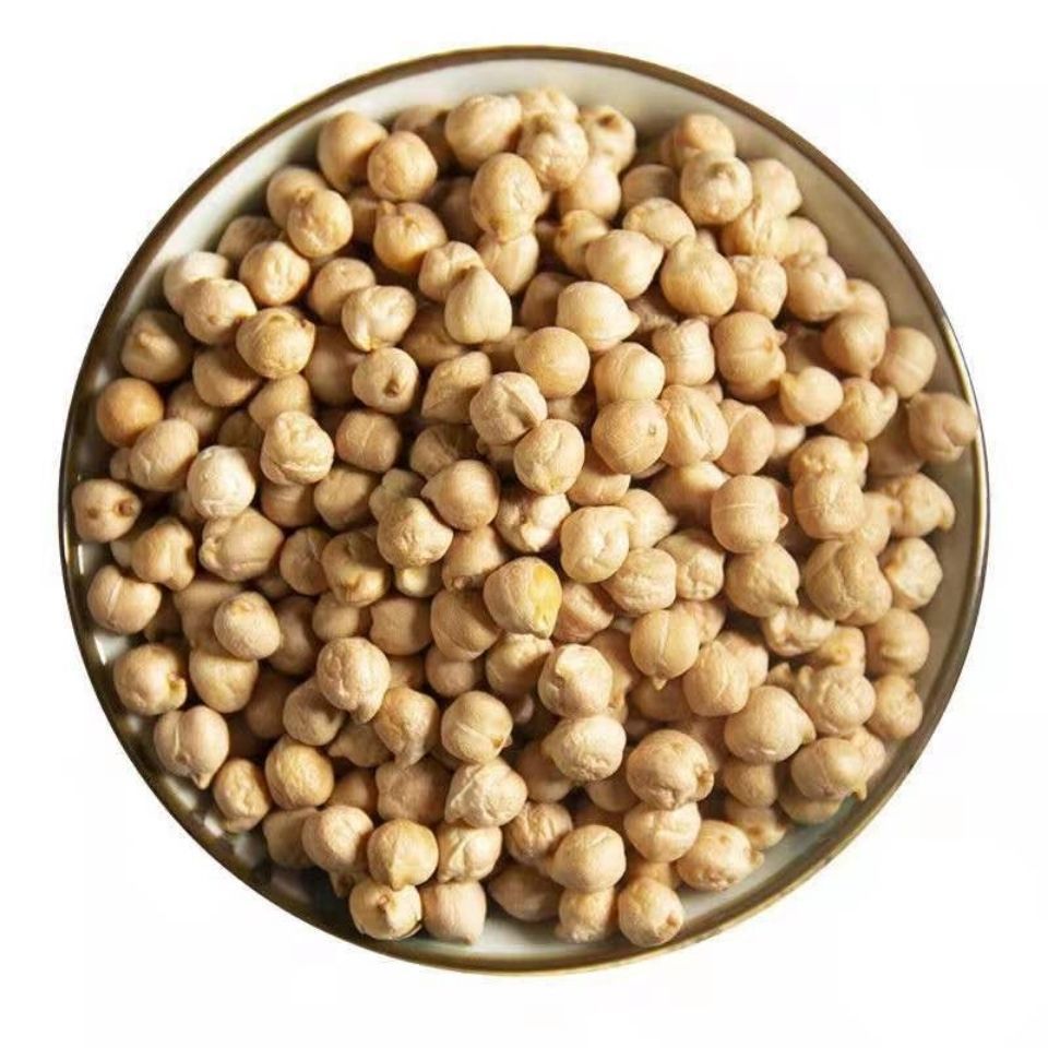 Raw Chickpeas Xinjiang Dried Cicer arietinum Seeds for Cooking Sprouting and Home Culinary Use 100g Bottle in use