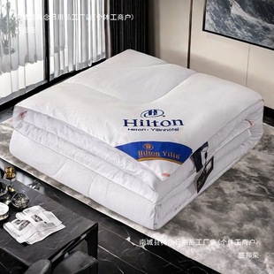 [over 500 People Order Within One Week] Hilton down Quilt 95 White Goose down Spring and Autumn Quilt Summer Cool Plus Strictly Selected Same Style
