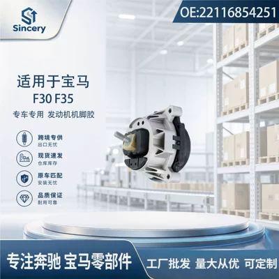 Suspension and Shock Absorber Systems F35 engine, engine mount