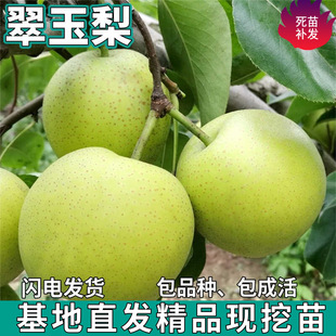 һ�����l������������ϱ�������ͥԺ�̨�Nֲ�ش����Լ޽�������