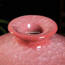 Ƭմɻƿpƿ 悴Ҿӿ͏db ʽżܔ[