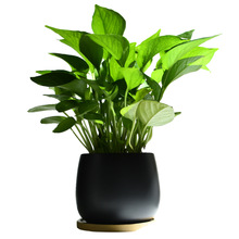 �G�}�����҃ȃ����՚�Gֲ��ꎺ��B�����k���ҷ�ݗ��G�j����ֲ��