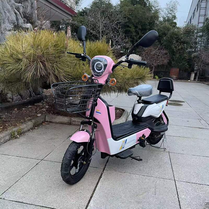 Directly from the Manufacturer: 48V Electric Scooter for Adults, Two-Wheeled, Two-Seater, Golden Eagle Color Scheme, Lithium Electric Bike