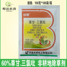 ���� 60%�ݸ������� �Ǹ��س���ľ��ľ�����s�ݠ������݄�100��