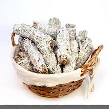 �����M�ڰ���β������ White Sage��޹��ѩ���������������l�羳