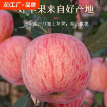 烟台红富士苹果水果10斤当季整箱山东栖霞新鲜苹果包邮脆甜二级