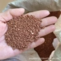 元素微量补充骨骼矿沙
