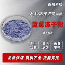 蓝莓冻干粉 冻干蓝莓粉低温冷冻干燥1kg起批发现货供应