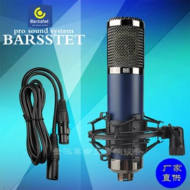 麦克风/话筒;手机支架;影音电器配件