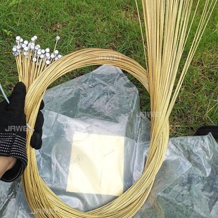 ��������܇�x܇��ɽ��܇׃�پ���·о�Ⱦ��l�����b���w܇�T�����