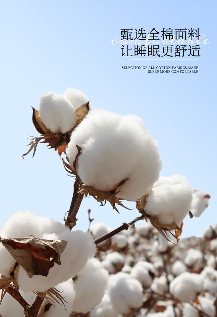 详情图(5).jpg
