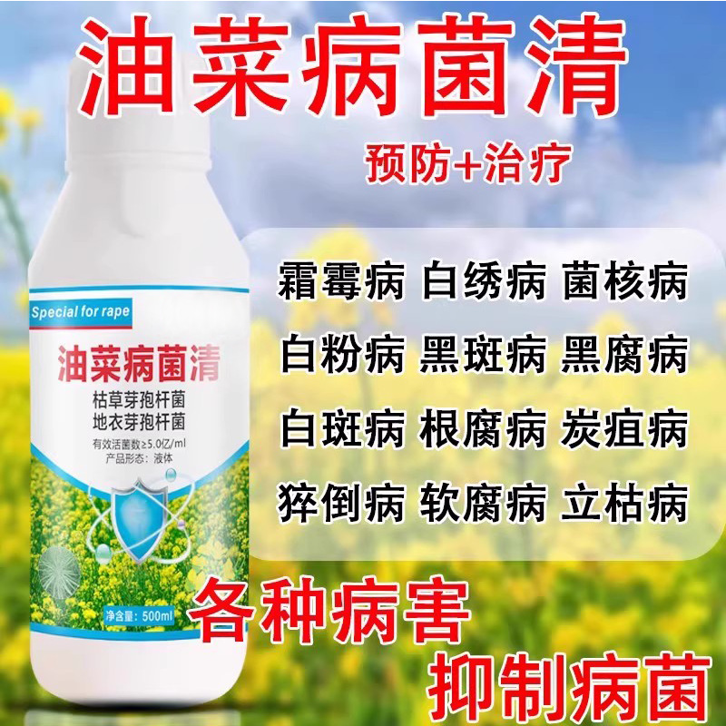 油菜病菌清油菜防腐防锈耐寒防治烂根黄叶菌核病霜霉病软腐病杀菌