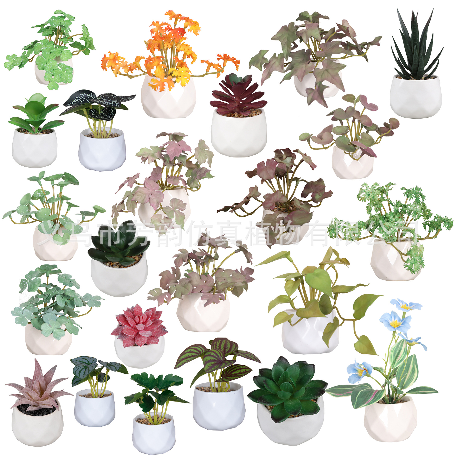 Spot flor falsa árbol de hierro cerámica bonsai Amazon decoración para el hogar escritorio maceta pequeña decoración fabricante de comercio exterior