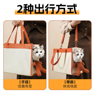�ɐ����������������¶�^С��ë�q؈���μ��С��Ȯ����������