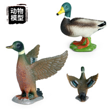 �����o�B������ģ�̓�ͯ�J֪��߼��݌�������Ұ���G�^�����z�[��