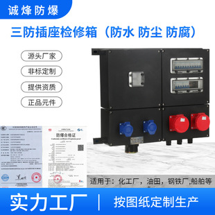 Lighting Power Distribution Box Socket Maintenance Box Engineering Plastic Three-Proof Operation Box Non-Standard Custom Explosion-Proof Sealed