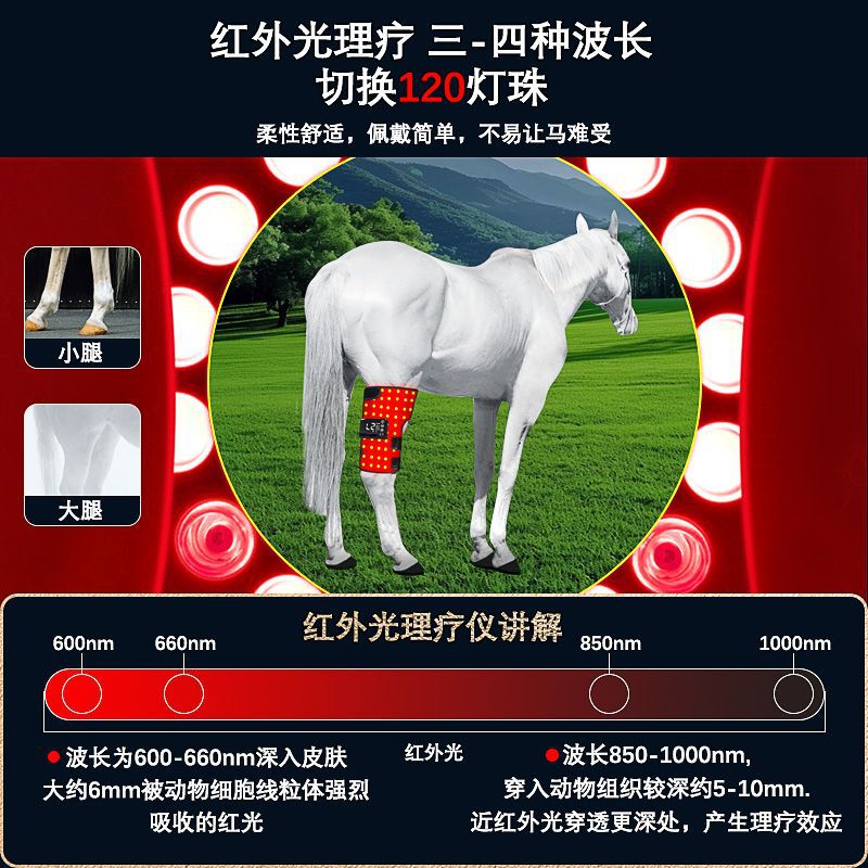 ポータブル充電式赤色光馬脚リハビリテーション理学療法器具温湿布遠赤外線脚損傷骨折抗炎症治癒|undefined