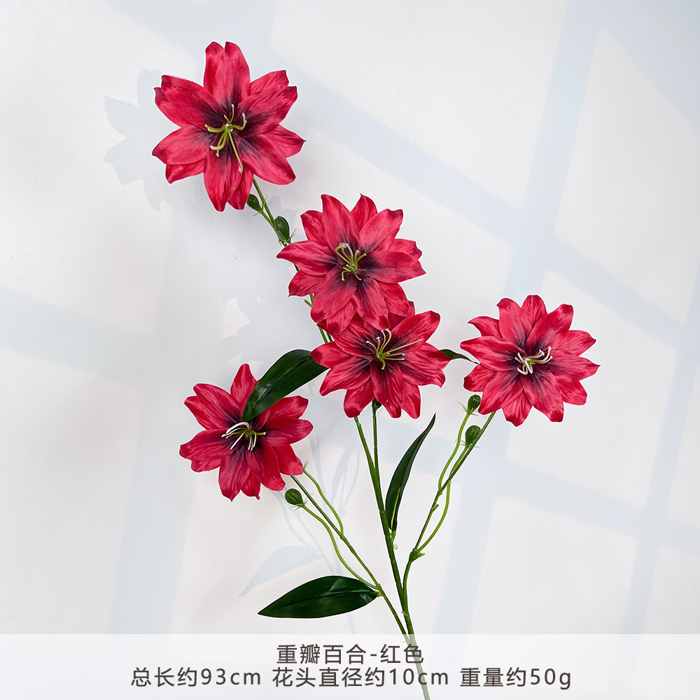 Wp-double lily-red