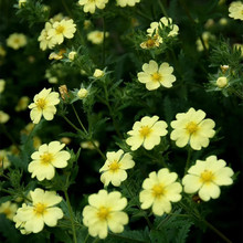 ί˷N̨ͥԺ҃ļ׷NرܷNӻӾ^