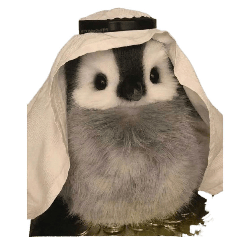 Simulación encantadora muñeca pingüino emperador juguetes de peluche pareja pingüino boda tirar muñeca tela de cumpleaños