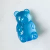 Blue bear [opp bag]