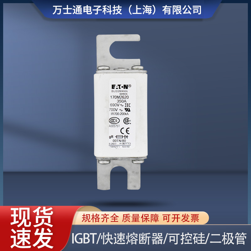 170M2608170M2609170M2610170M2611170M2612170M2613熔断器现货