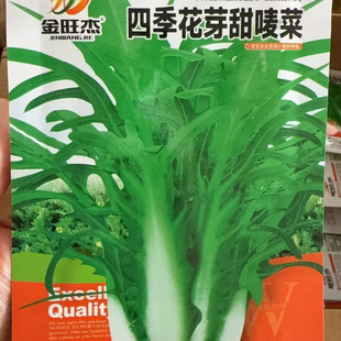 �ļ���ѿ�����˻��~������������ԏV�� �߲˷N�� �̨�N������