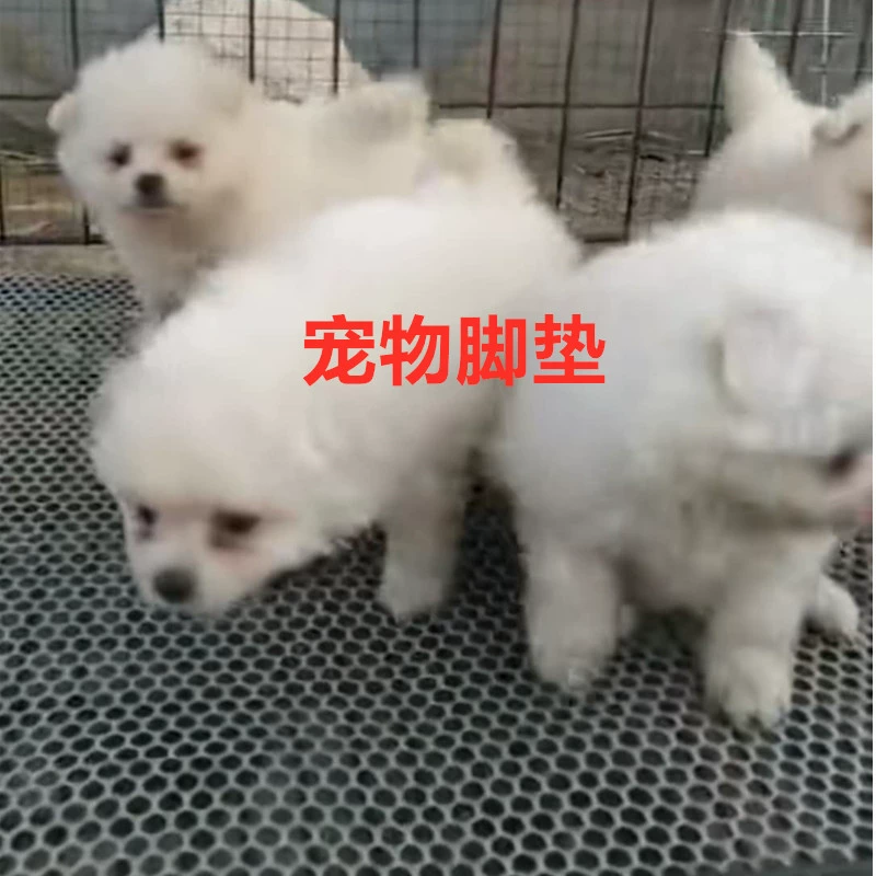 Оптовая продажа балкон пластиковая сетка защитная сетка разводная сеть детская домашняя лестница кошачий ограждение сетка изоляции оконной сетки