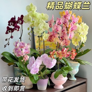 ��Ʒ�����m���Ի��玧�����҃Ȼ���ֲ��͏d�͏d���F�r���ļ��_��