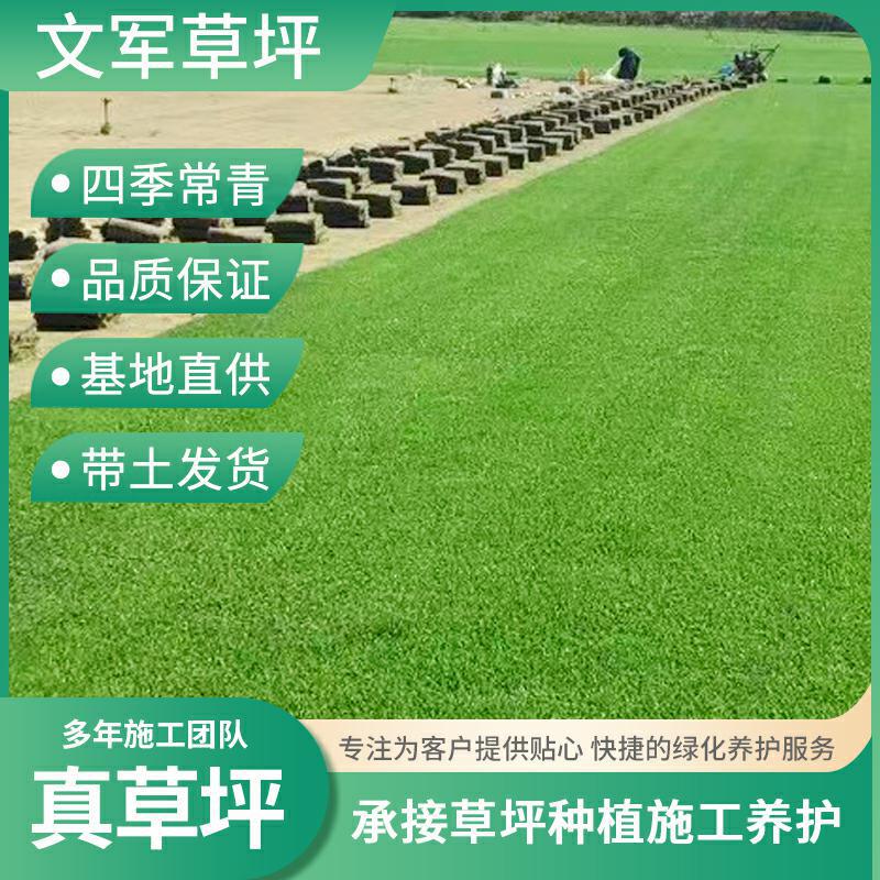 Lawn Handmade Highway Garden Base Greening Wild Green Grass Real Turf All Year Round Green Artificial Green Lawn
