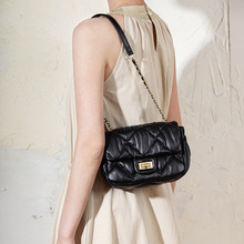 ɫ朗lŮб2025¿μţƤСL