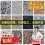 防水水洗墙面地面涂料