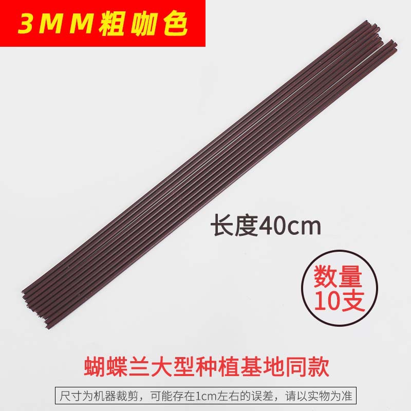 3mm brown 40cm long 10 pieces (comes with protective cap)