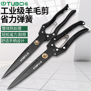 ����ë�ļ��Ӵ�����քӽg�d��ë�����ù�ë��̖������ë������