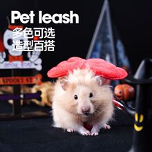 �}�����K����K��z��ɢ�������\�������K�۴�����֦���Ó�K��