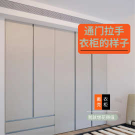 家具厂全屋定制衣柜工厂定制柜卧室家用橱柜门定制自装免拉手新款