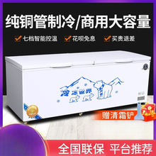 冰柜冷藏冷冻商用冷链大容量铜管卧式节能冷冻柜单温双温雪柜冰箱