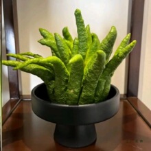 ���ָ̔[���͏d�[�Ŕ[�P�㙴�бP�����^�p���s���������մɻ�ƿ�o