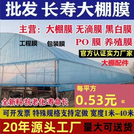 其他塑料薄膜;农用薄膜;其他农业