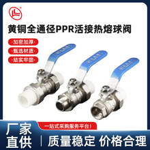 �_����ͨ��PPR�p������y�������y ������PPR���y �p����~���y