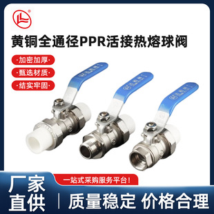 �_����ͨ��PPR�p������y�������y ������PPR���y �p����~���y
