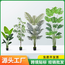 ���Q�羳ɢβ�����˽��~����ֲ��ҾӔ[��ֲ��٘���������҃��b