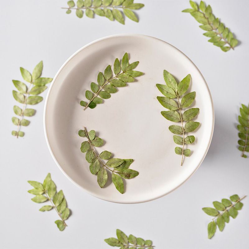 コショウの木の乾いた花の押し花は顔の装飾の花の真葉の植物の標本の真葉の真花のdiy材料を貼ります。|undefined