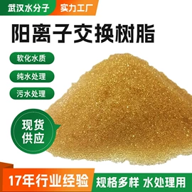 活性炭;离子交换树脂;其他水处理