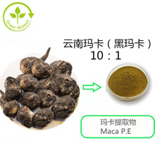 云南玛卡黑玛卡10：1玛卡提取物 玛卡比例品质 另有黄玛卡红玛卡
