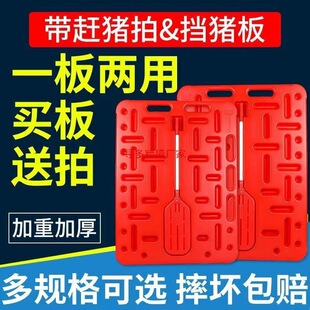 �Ӻ������¿��̖�Z�i�B�i���s�i��������е��Ϸ���C