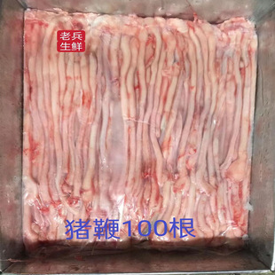 �i�����r����iС��100���o���Ƀ�