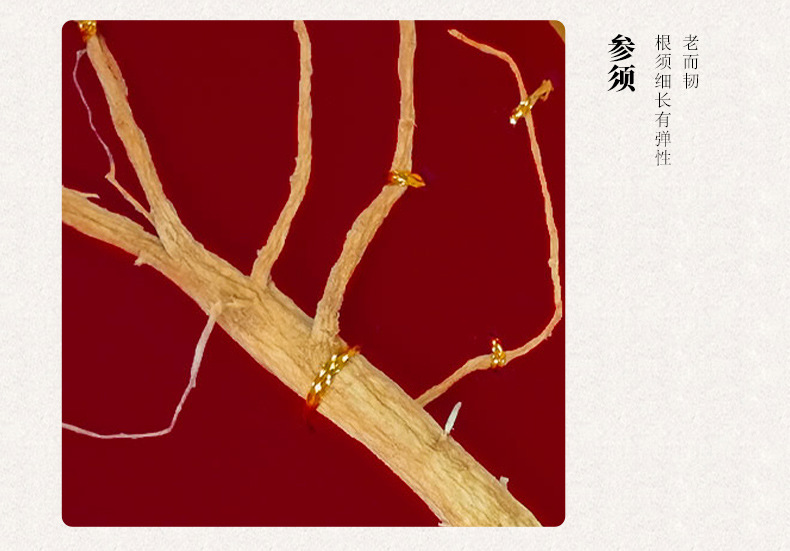 Changbai Mountain Ginseng Whole Root Dried Gift Box 3g Per Root in use
