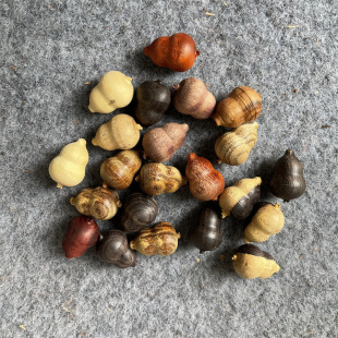 ��Ȼԭľľ�|��������J�ִ��Ϲ�̴��̴Ѫ̴�G̴����DIYë������